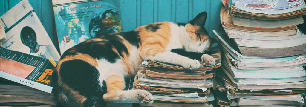 How to Read More Effectively: Unlock Your Reading Potential with Proven Strategies 19 How to Read More Effectively