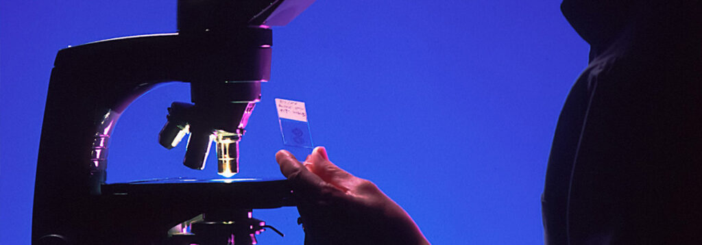 How to Write a Lap Report: Guide with Examples